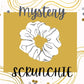 Mystery Scrunchie